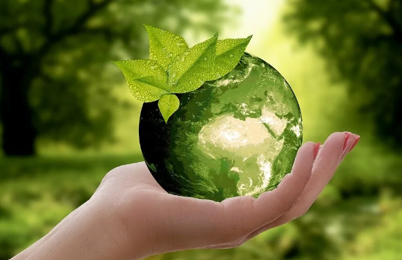 Corporate Responsibility in the Hardware Industry