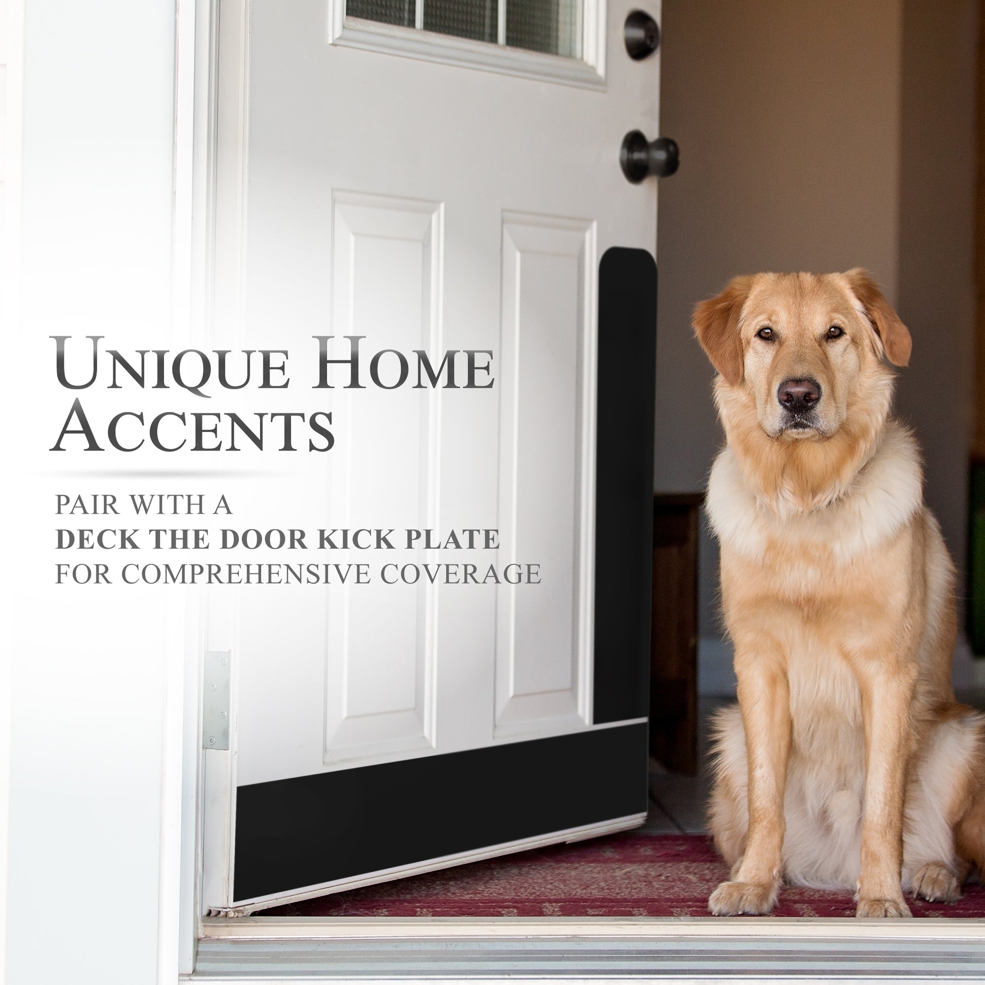 Dog Scratch Prevention Door Plate bundled with a door kick plate
