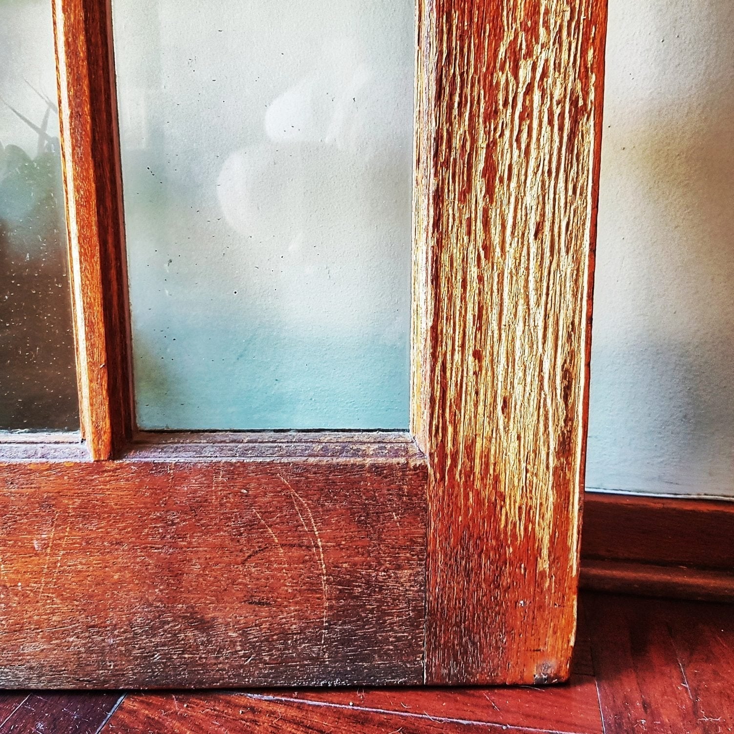 dog scratched door up