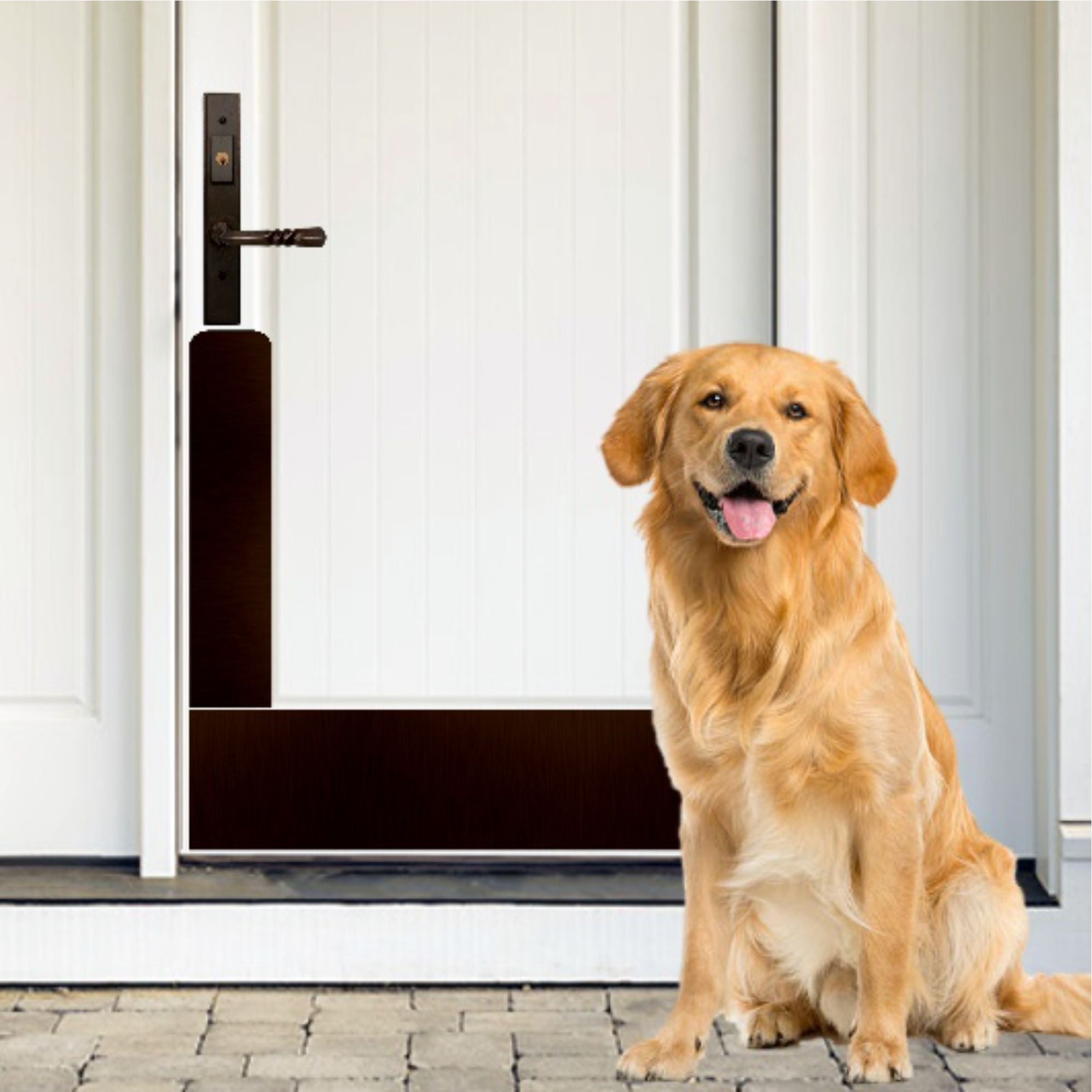Dog Scratch Protection Plate by Deck the Door Decor