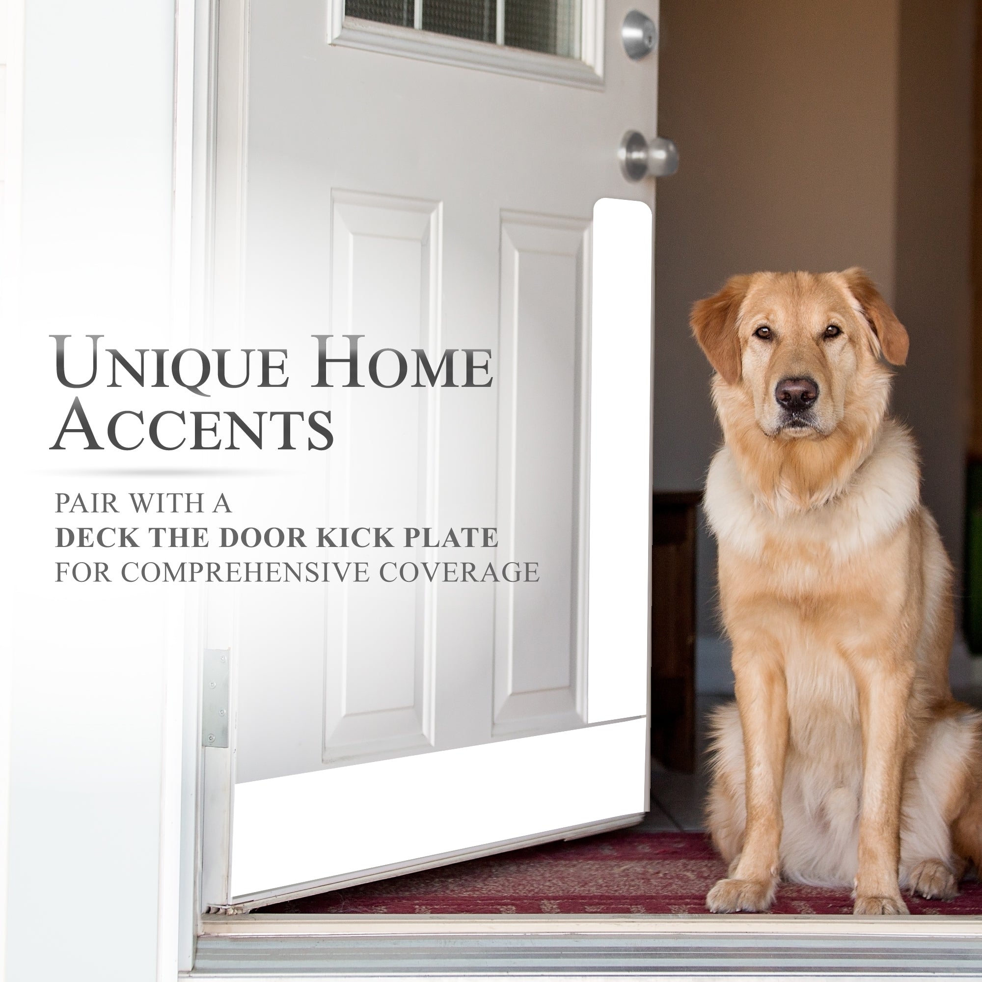 Dog Scratch Protection Door Plate – Multiple Size & Finish Options