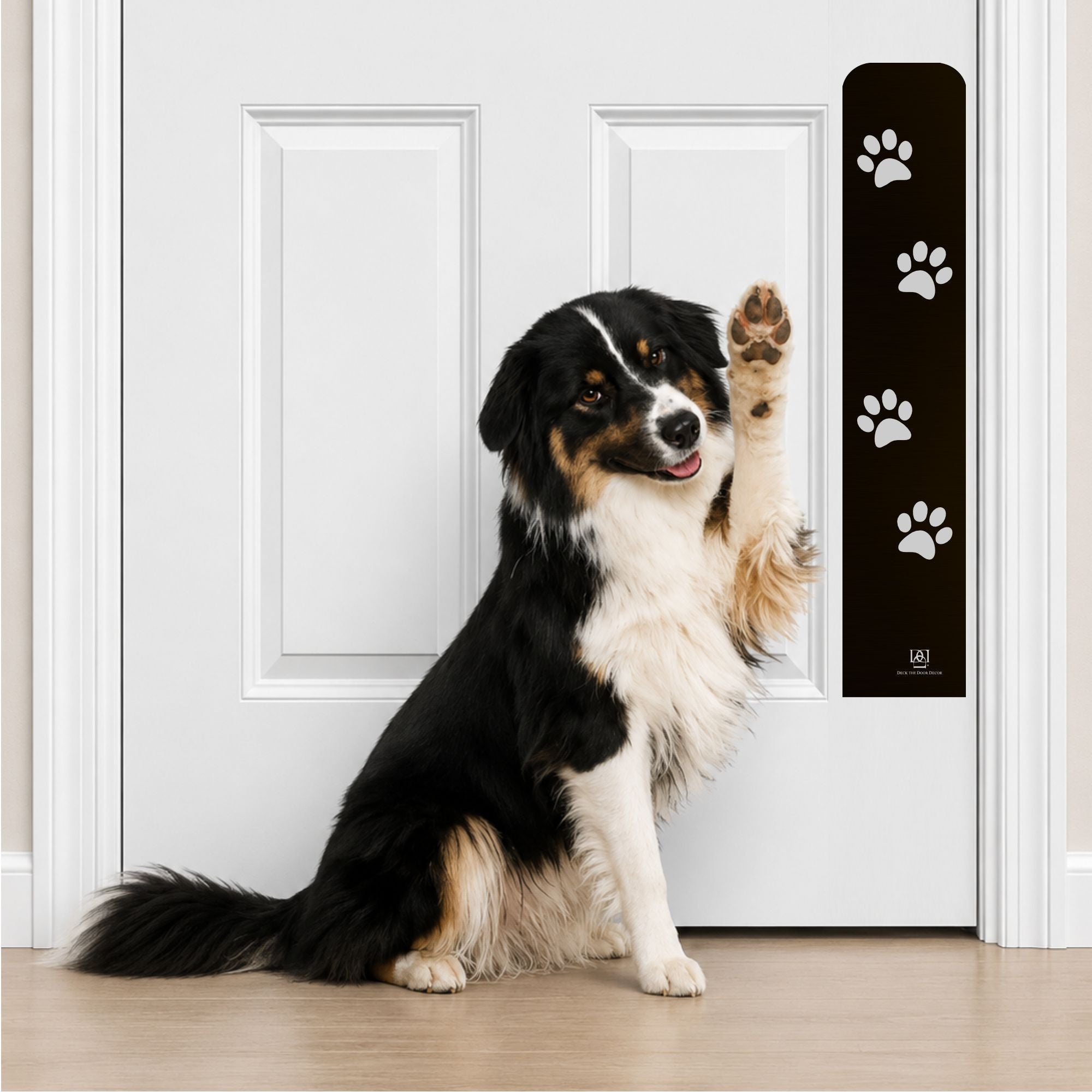 Collie Dog in Paw Print Engraved Dog Scratch Plate Product Photo in Satin Black