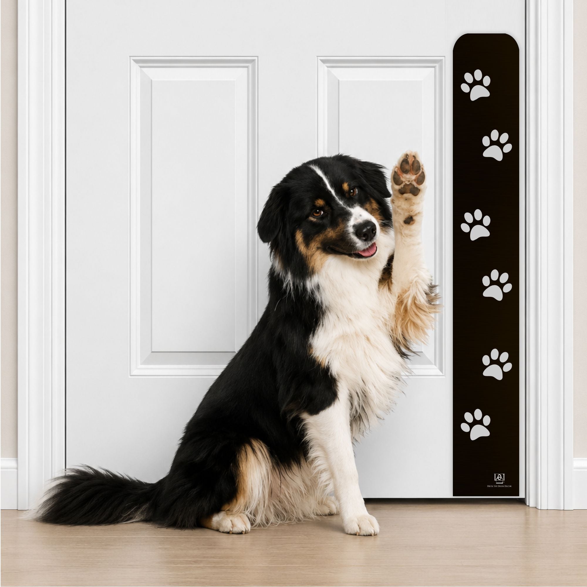 Collie Dog in Paw Print Engraved Dog Scratch Plate Product Photo in Satin Black