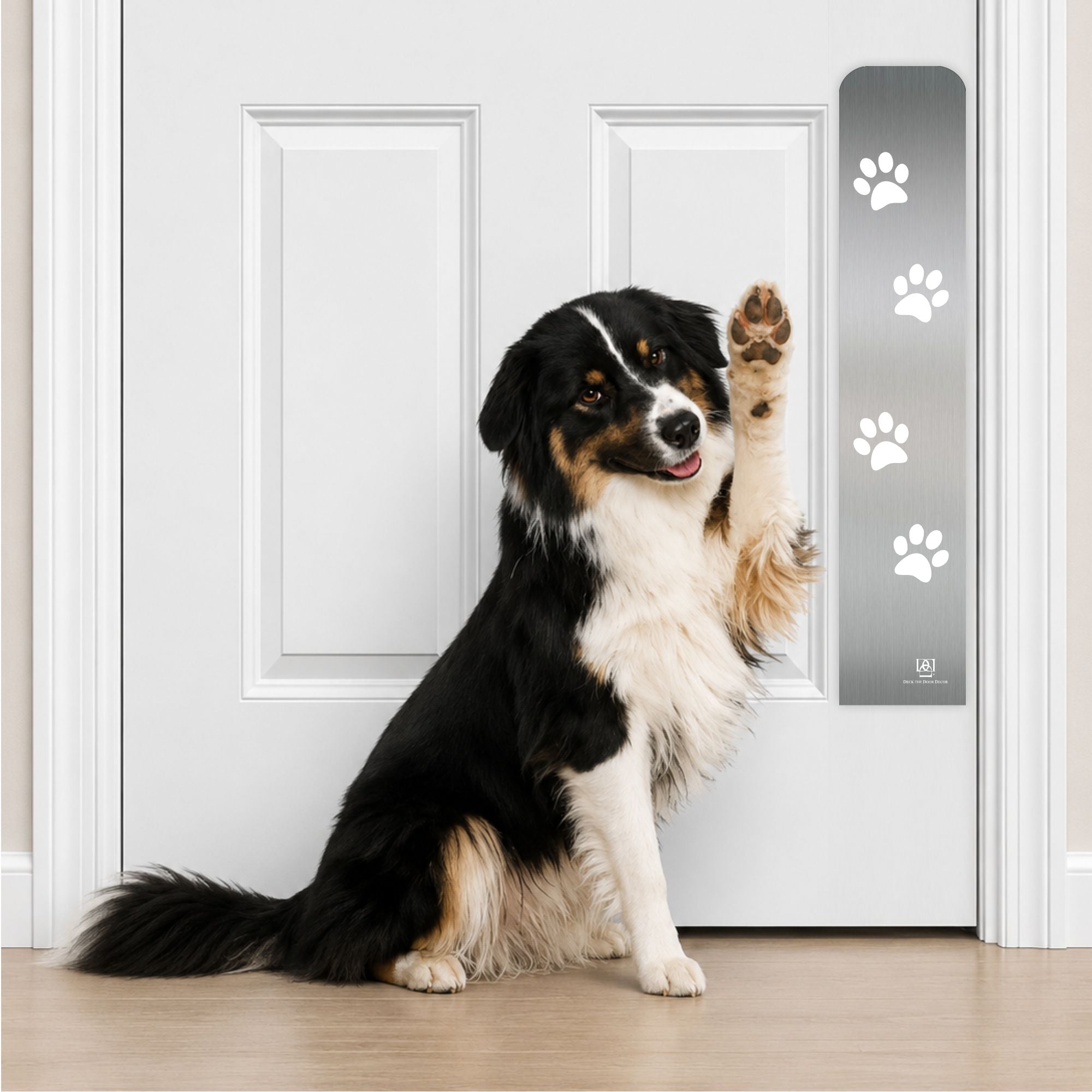 Collie Dog in Paw Print Engraved Dog Scratch Plate Product Photo in Satin Nickel
