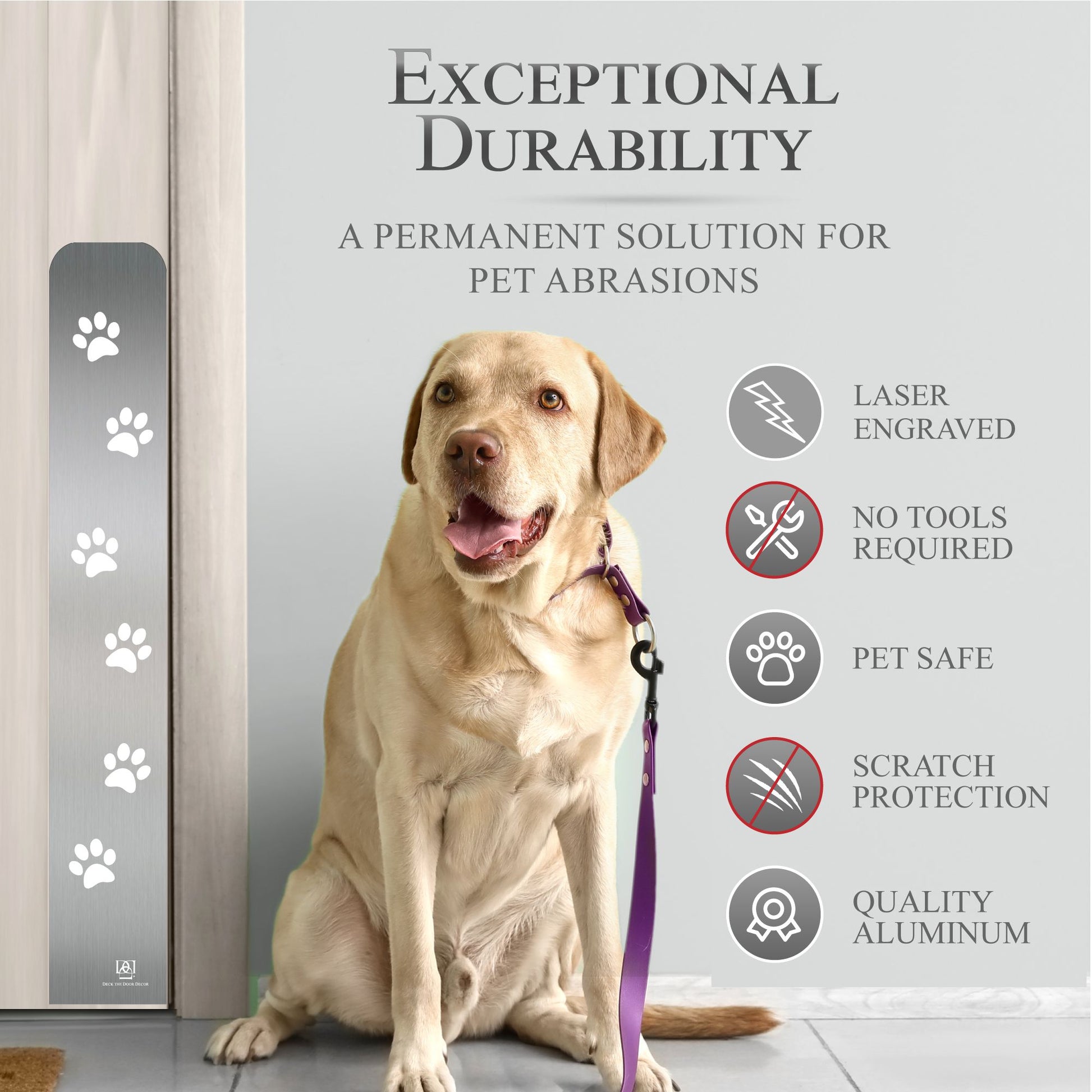 Paw Print Engraved Dog Scratch Plate Product Benefits Photo with dog on leash in Satin Nickel