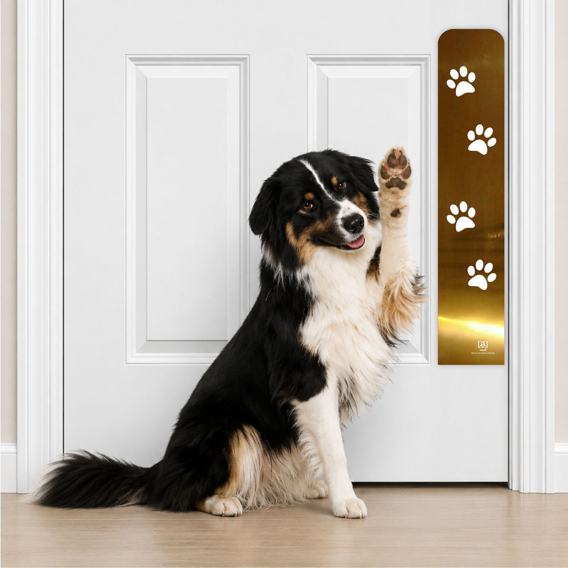 Collie Dog in Paw Print Engraved Dog Scratch Plate Product Photo in Shiny Brass