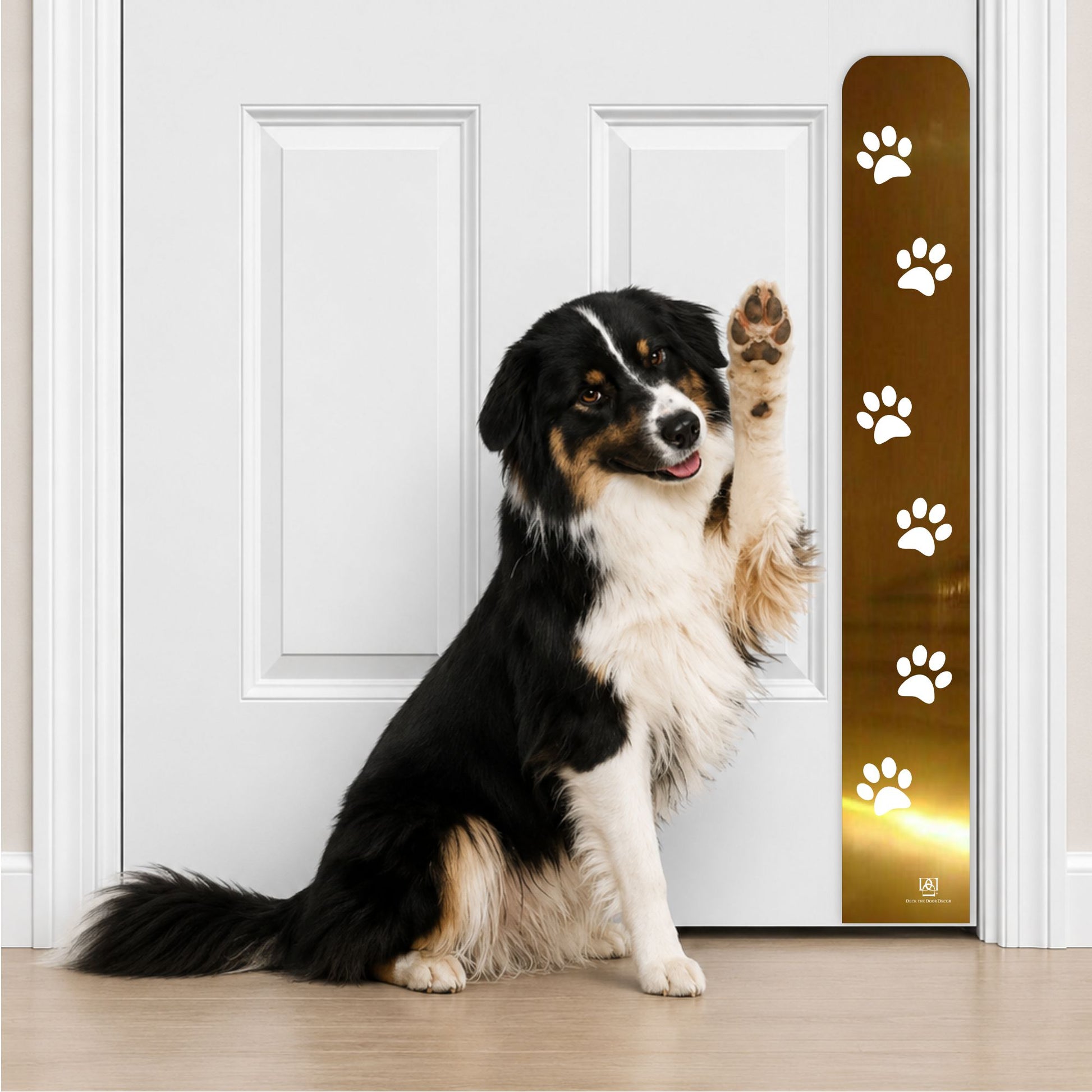 Collie Dog in Paw Print Engraved Dog Scratch Plate Product Photo in Shiny Brass