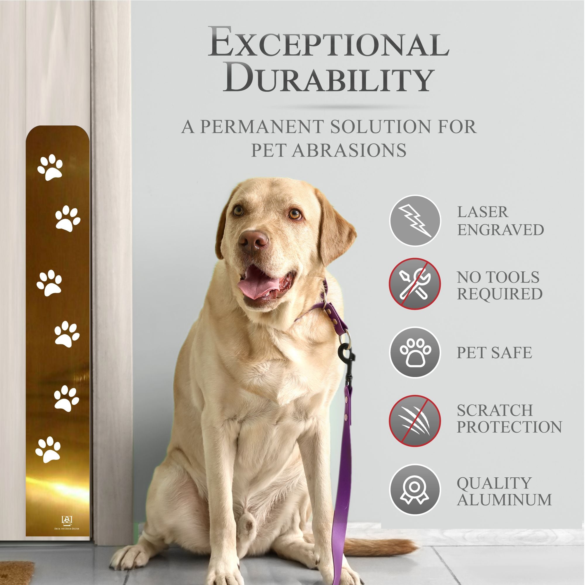 Paw Print Engraved Dog Scratch Plate Product Benefits Photo with dog on leash in Shiny Brass