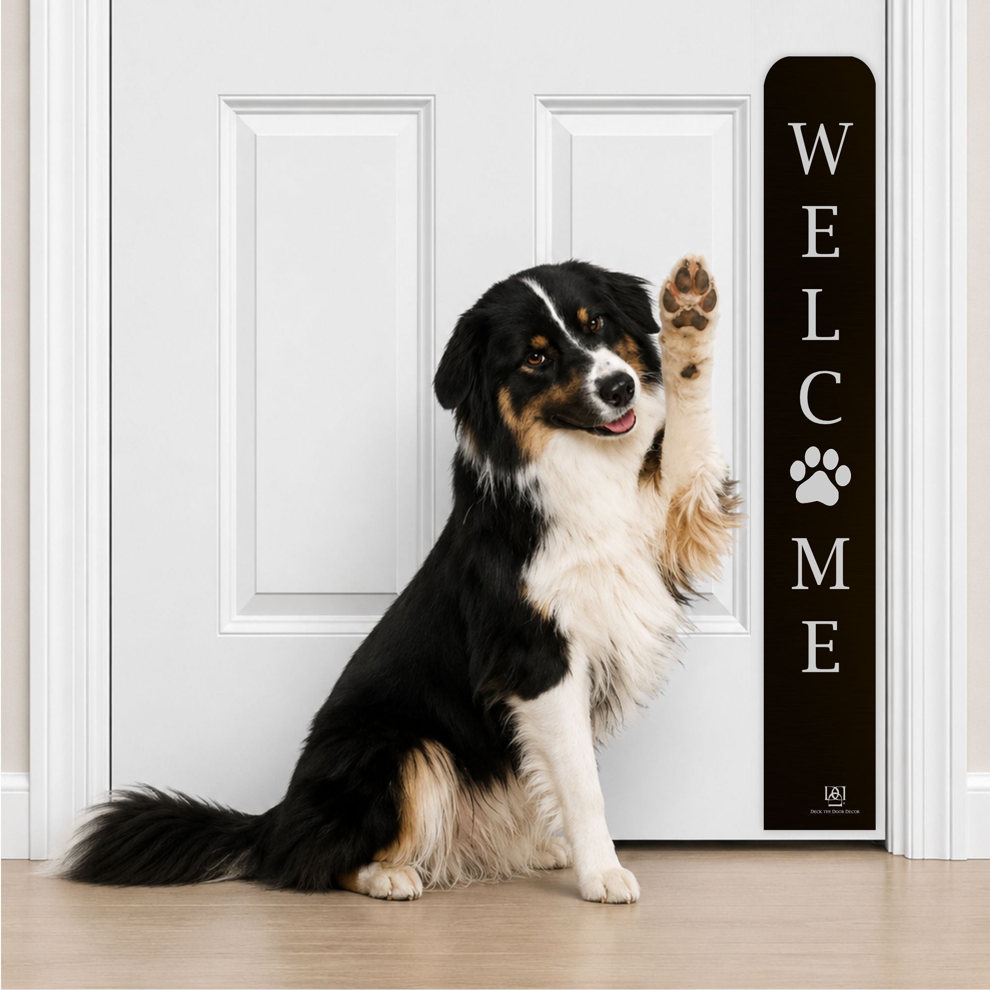 Collie Dog in Welcome Paw Print Engraved Dog Scratch Plate Product Photo in Satin Black
