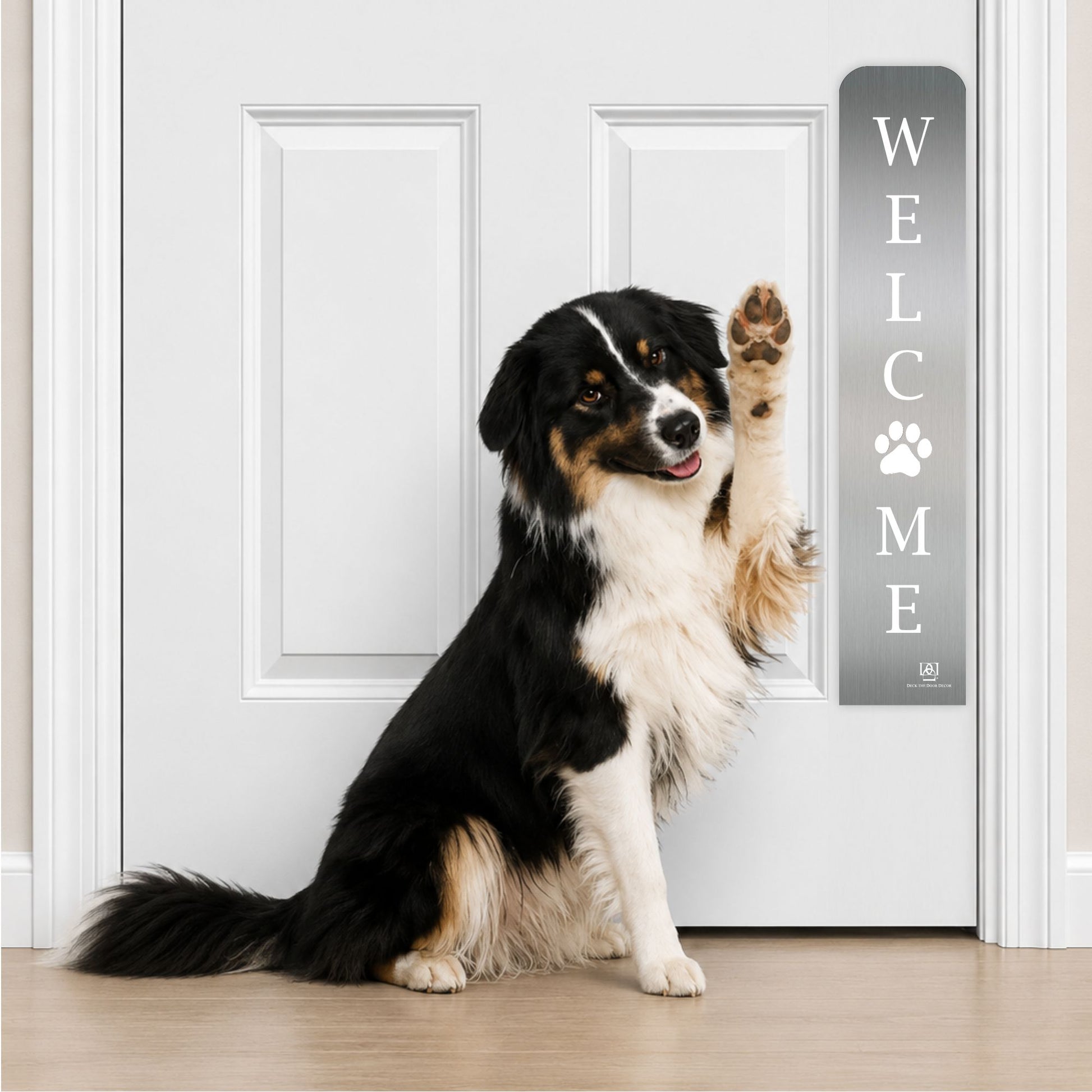 Collie Dog in Welcome Paw Print Engraved Dog Scratch Plate Product Photo in Satin Nickel