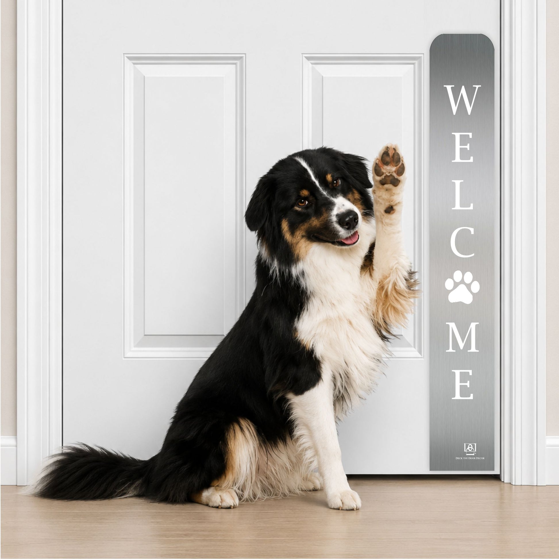 Collie Dog in Welcome Paw Print Engraved Dog Scratch Plate Product Photo in Satin Nickel