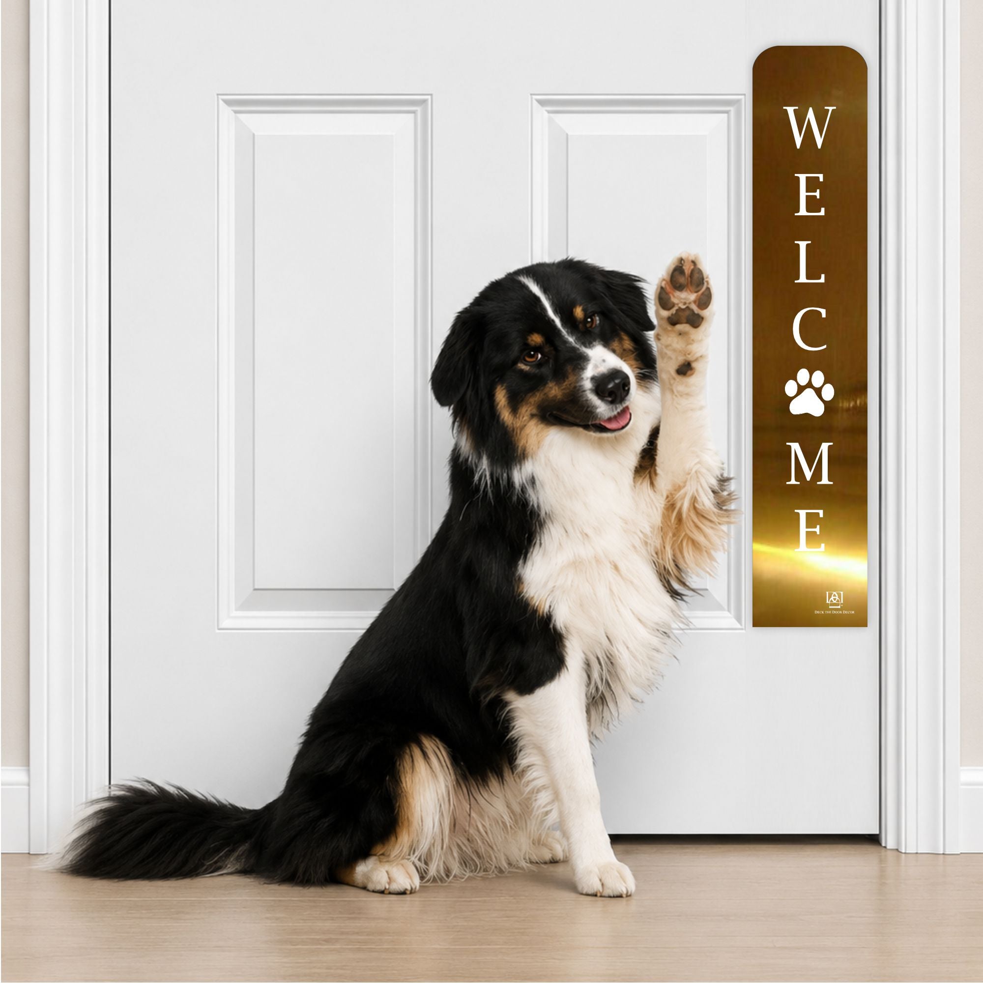 Collie Dog in Welcome Paw Print Engraved Dog Scratch Plate Product Photo in Shiny Brass