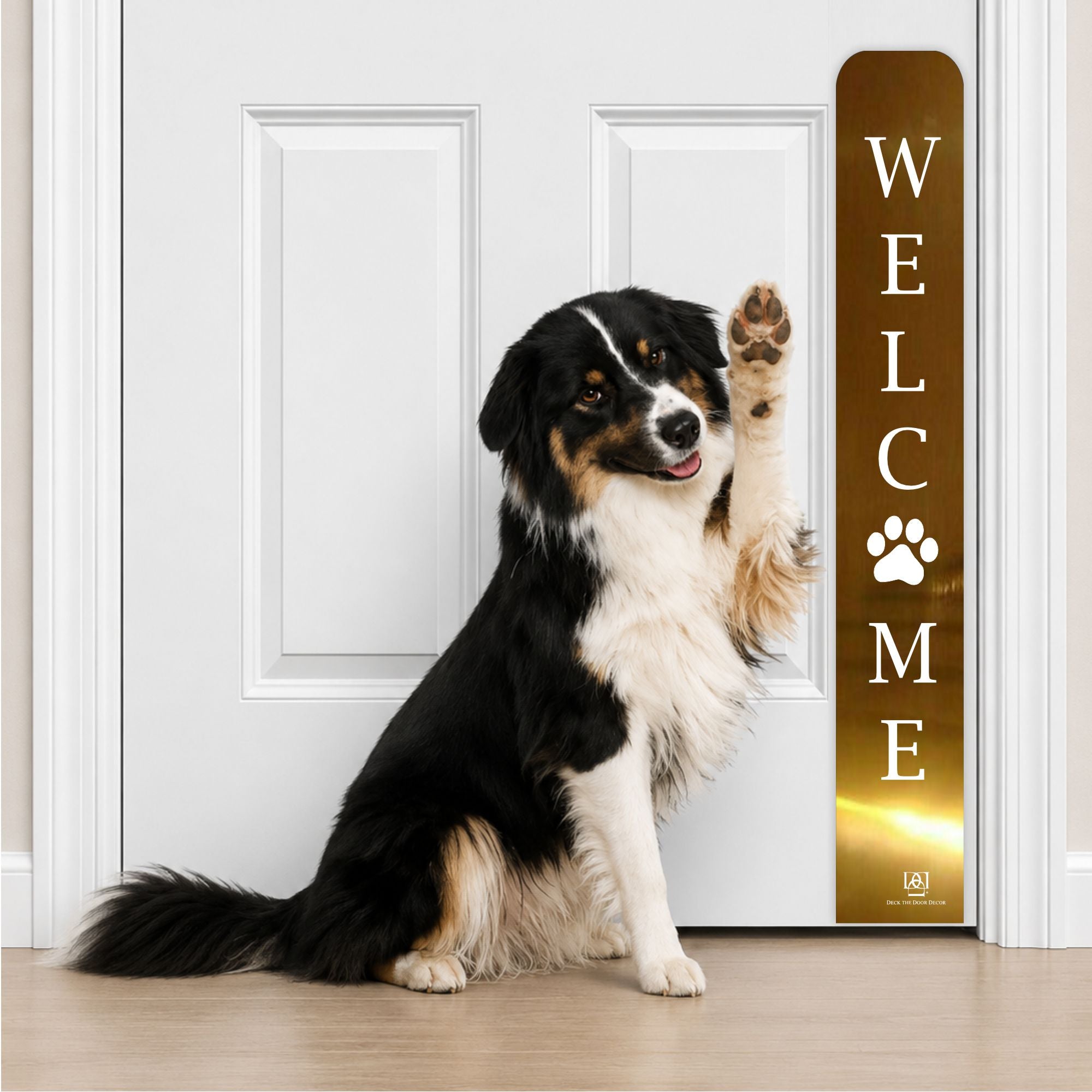 Collie Dog in Welcome Paw Print Engraved Dog Scratch Plate Product Photo in Shiny Brass