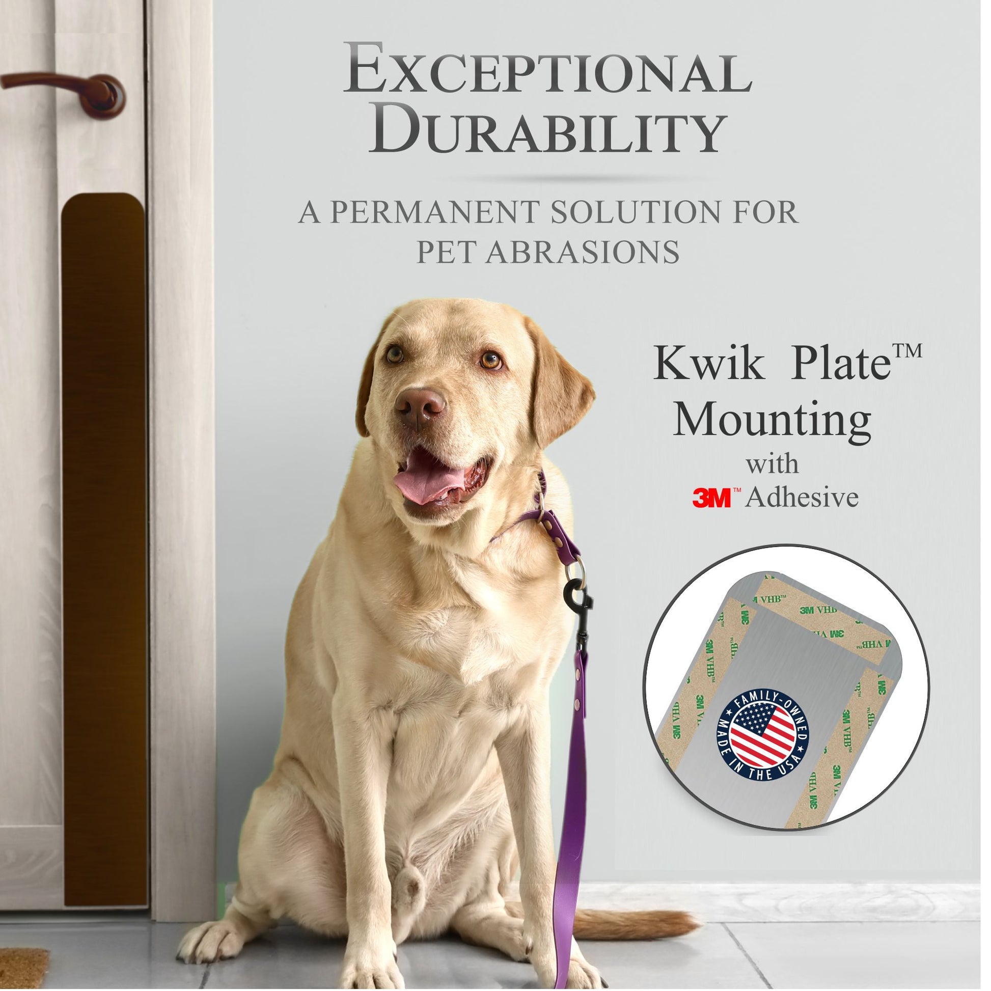 Dg Scratch Protection Kwik Plate 3M Adhesive Mount image with Labrador 