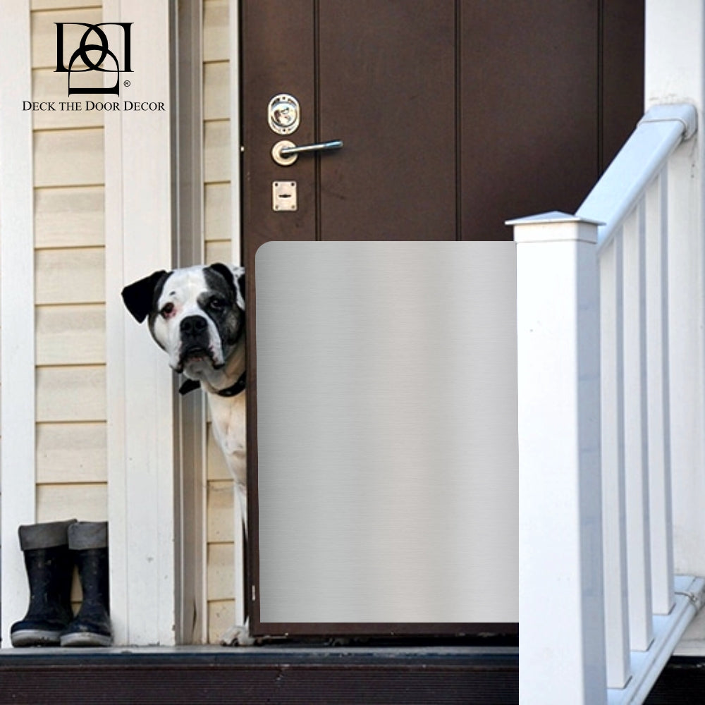 Large Breed Dog Scratch Plate Lifestyle image