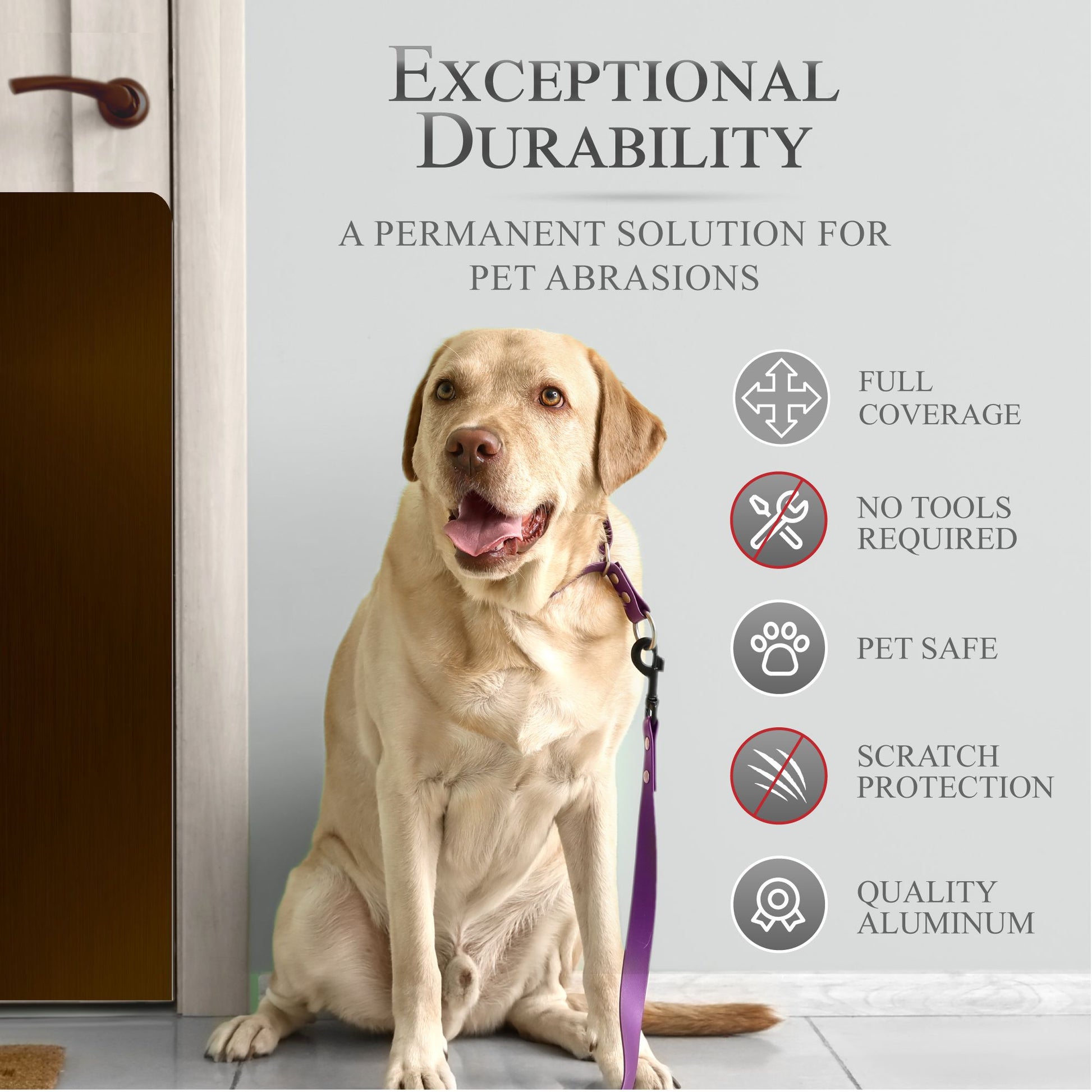 Large Breed Dog Scratch Plate Product Benefits Photo with dog on leash in Oil Rubbed Bronze