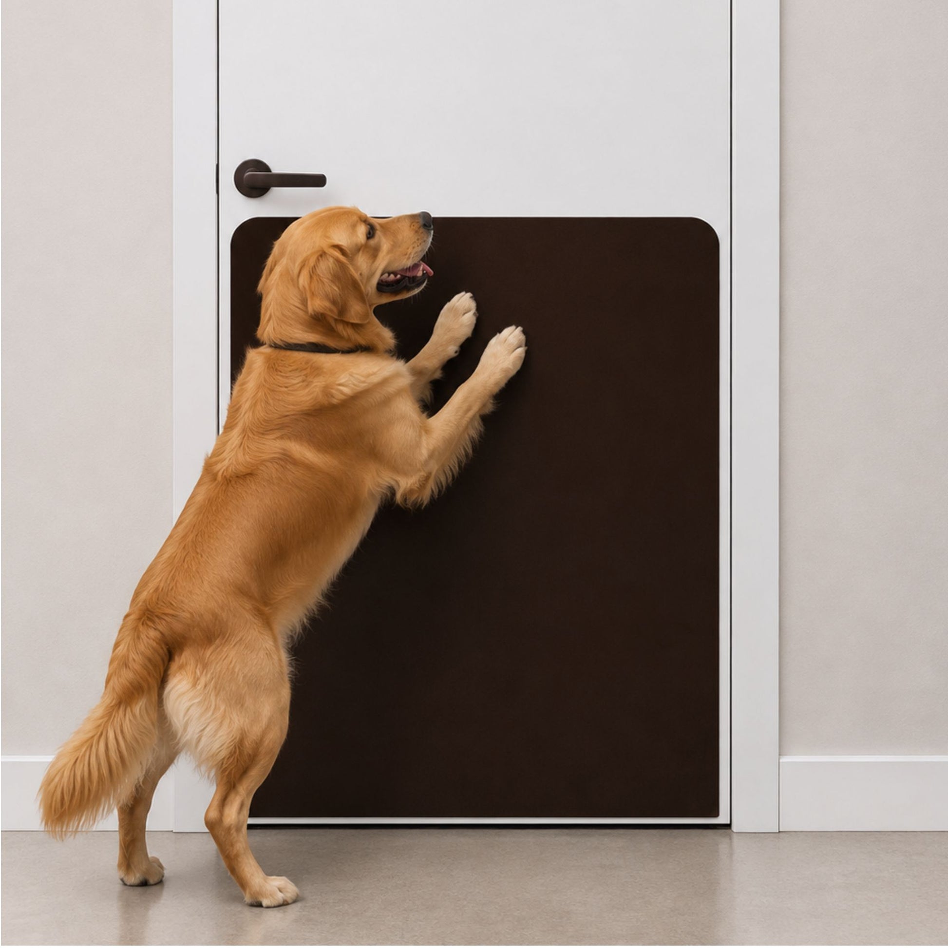 Golden Retriever with Oil Rubbed Bronze Large Breed Dog Scratch Protection Plate