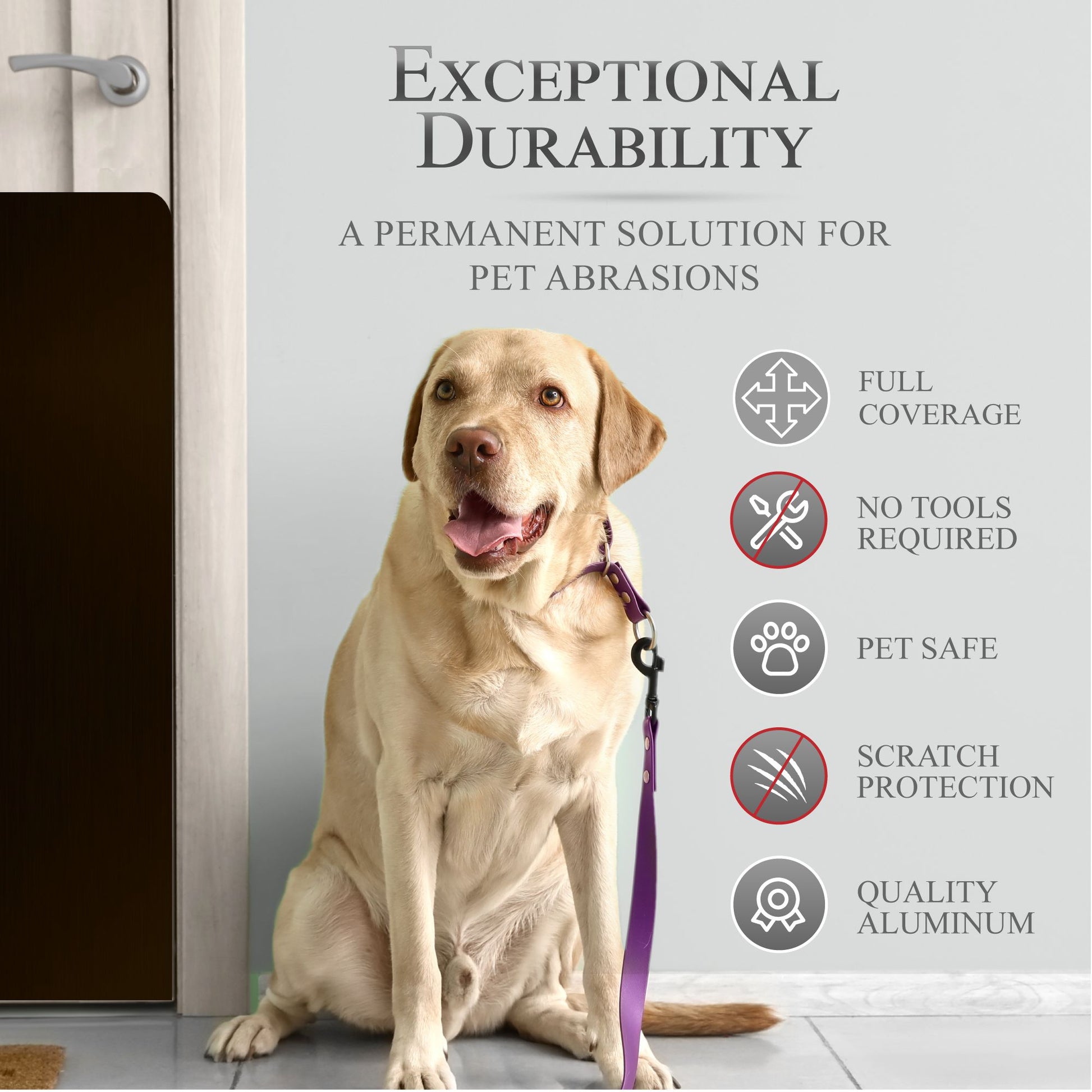 Engraved Dog Scratch Plate Product Benefits Photo with dog on leash in Satin Black