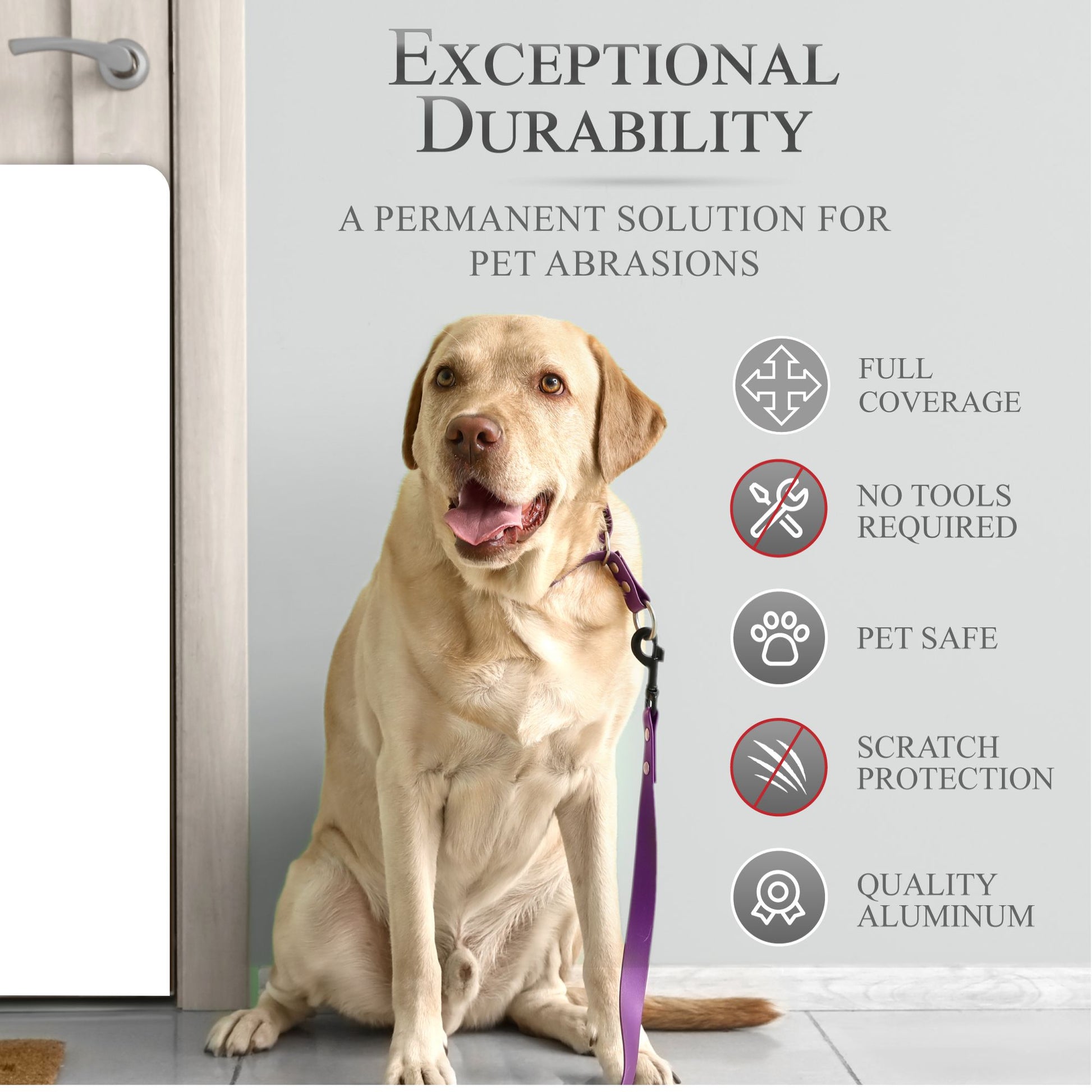 Paw Print Engraved Dog Scratch Plate Product Benefits Photo with dog on leash in Minimalist White 