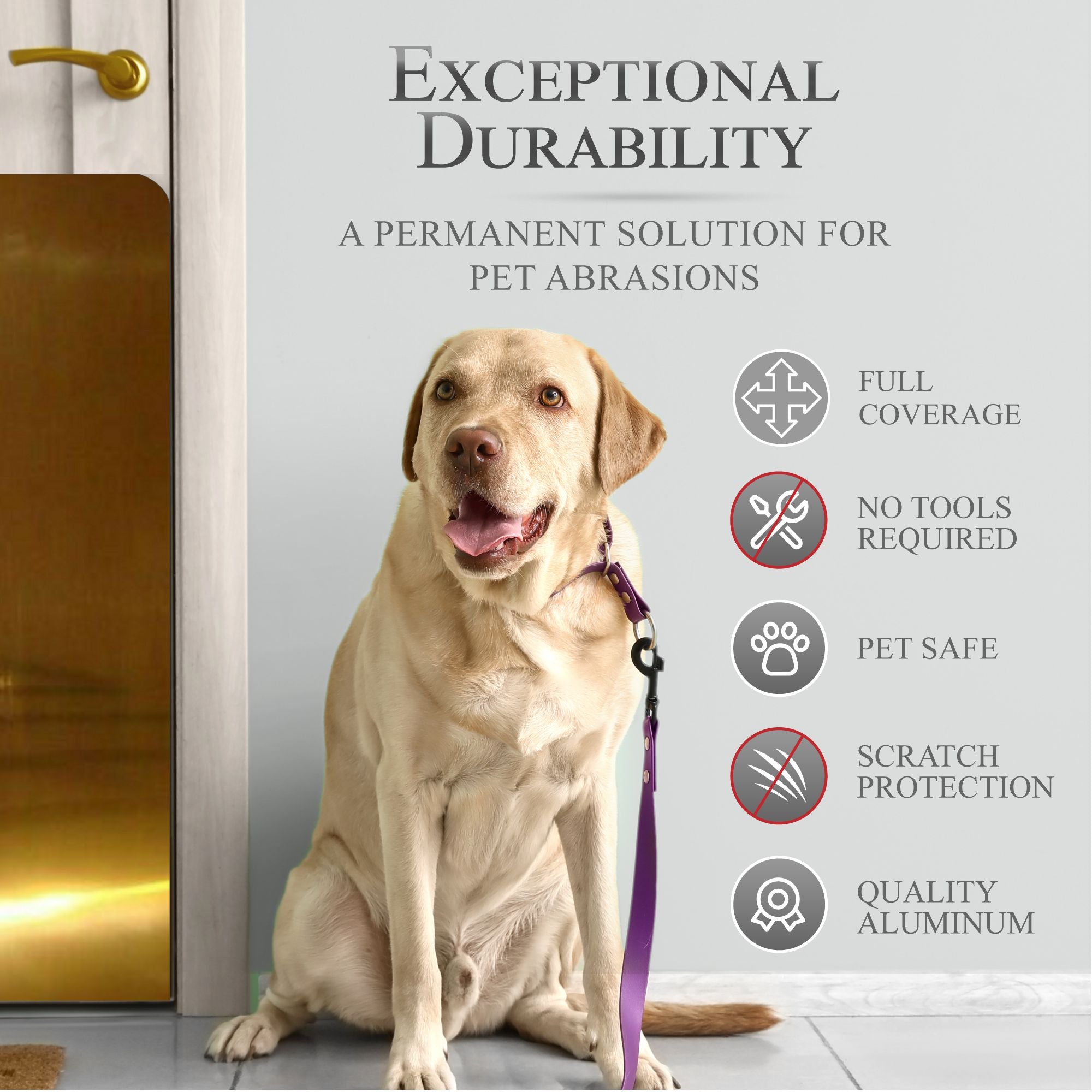 Large Breed Dog Scratch Door Protection Plate