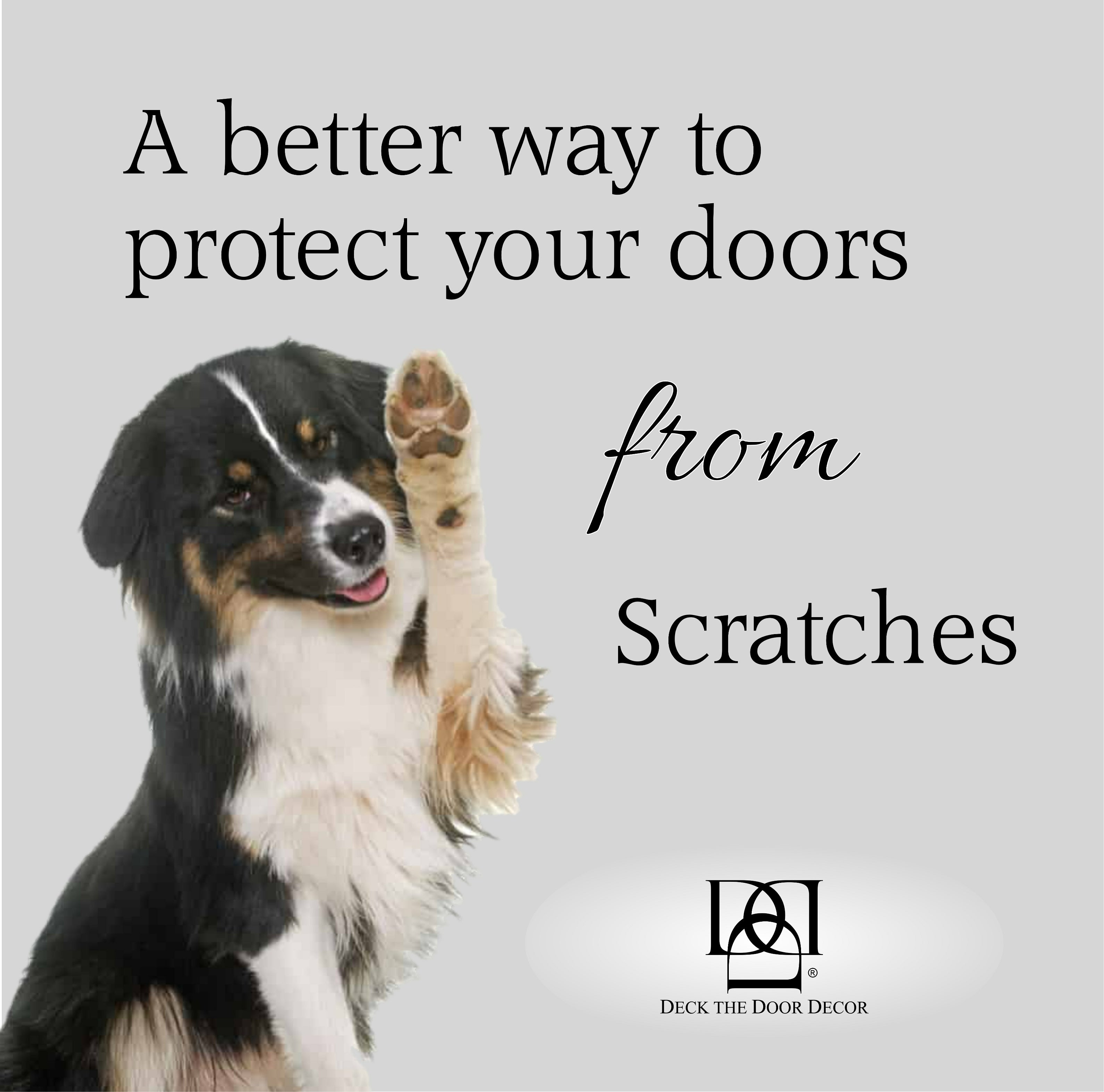 Dog Scratch Door Protection Plate Paw Print Engraved Design Deck the Door Decor